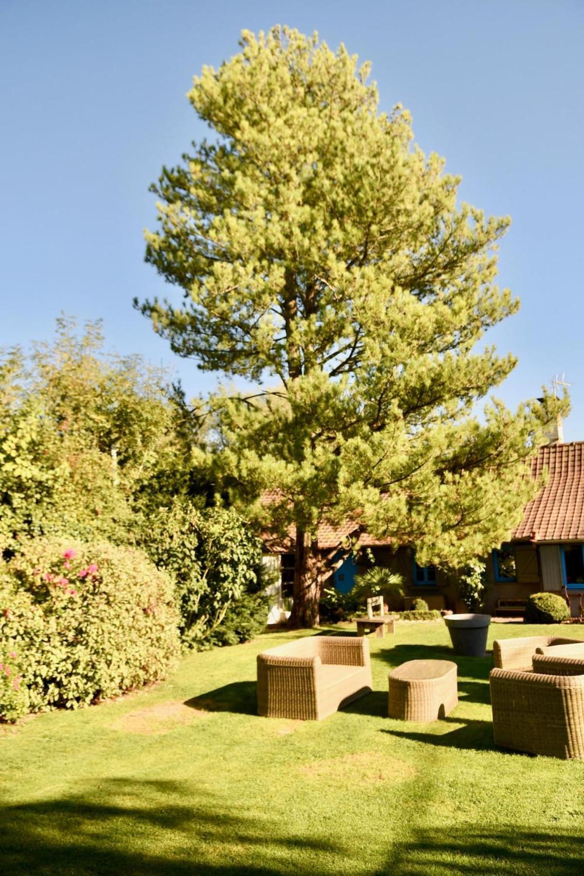 Villa De Charme Entre Deux Baies 特伊 外观 照片